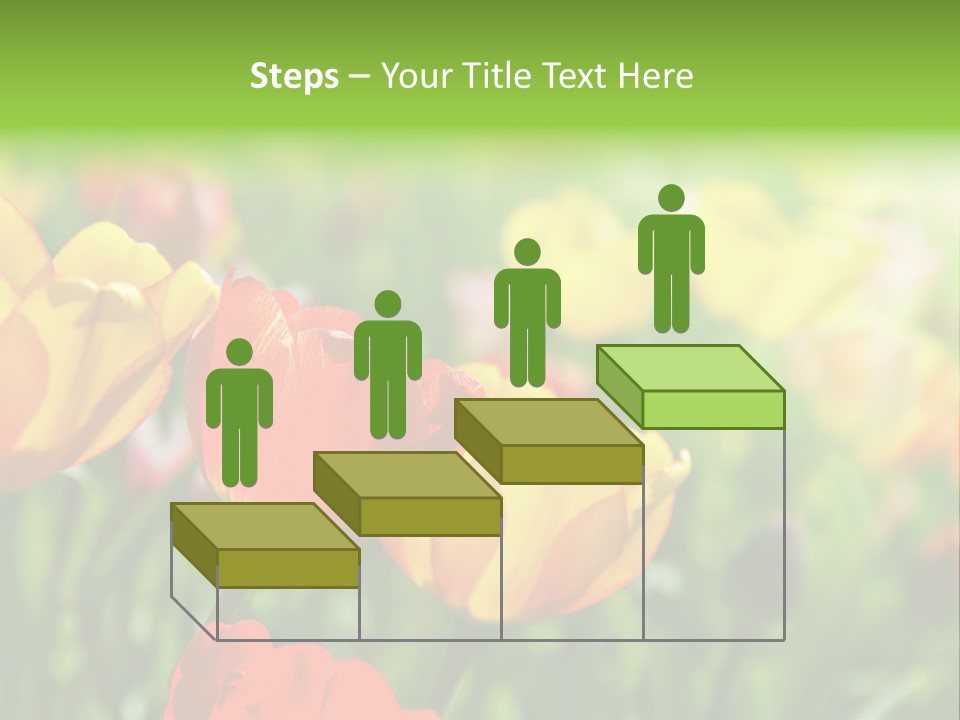 Flowers Tulips PowerPoint Template