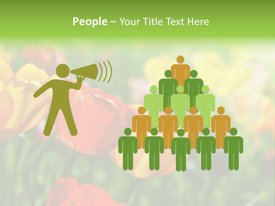 Flowers Tulips PowerPoint Template