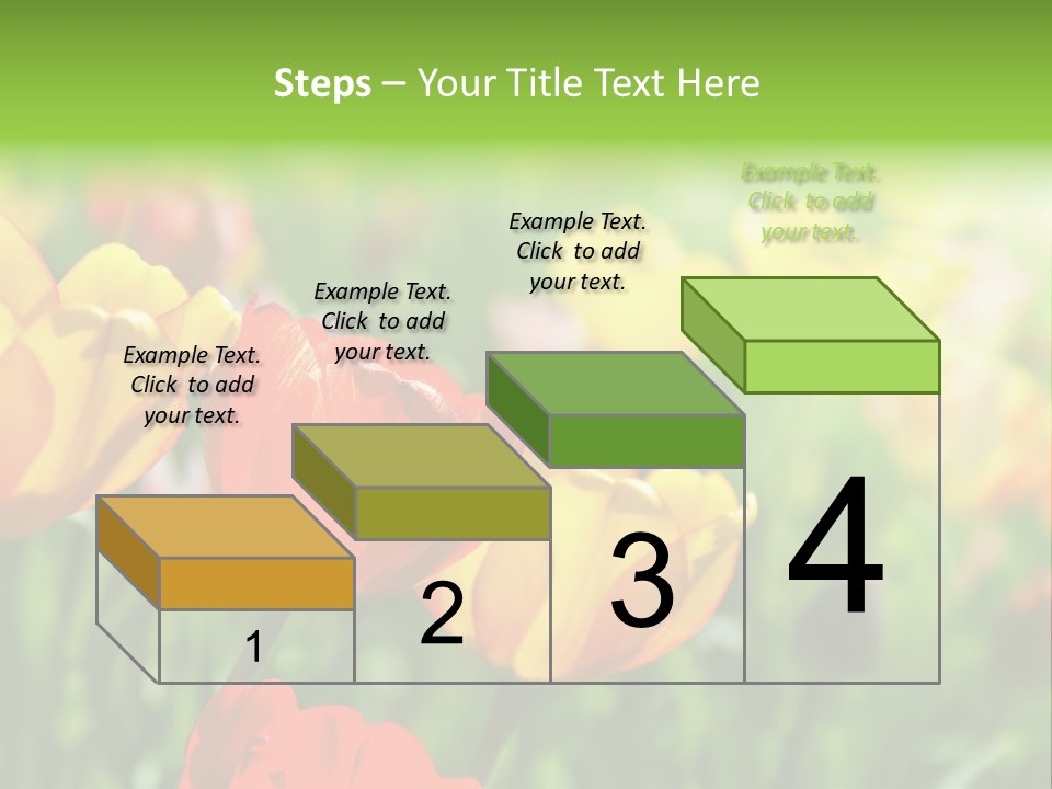Flowers Tulips PowerPoint Template