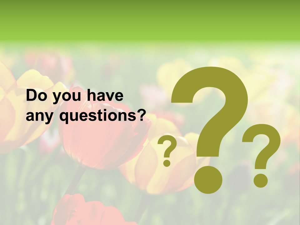 Flowers Tulips PowerPoint Template