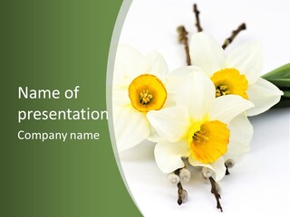 Season Branch Easter PowerPoint Template