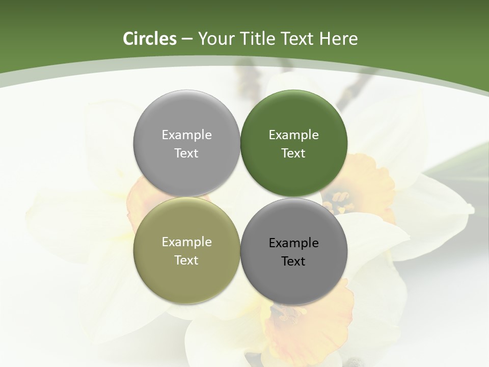 Season Branch Easter PowerPoint Template