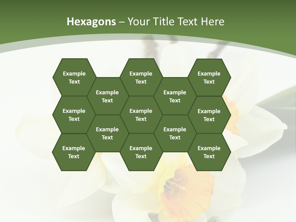 Season Branch Easter PowerPoint Template