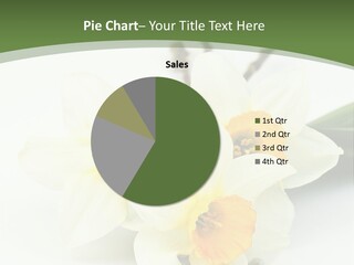 Season Branch Easter PowerPoint Template