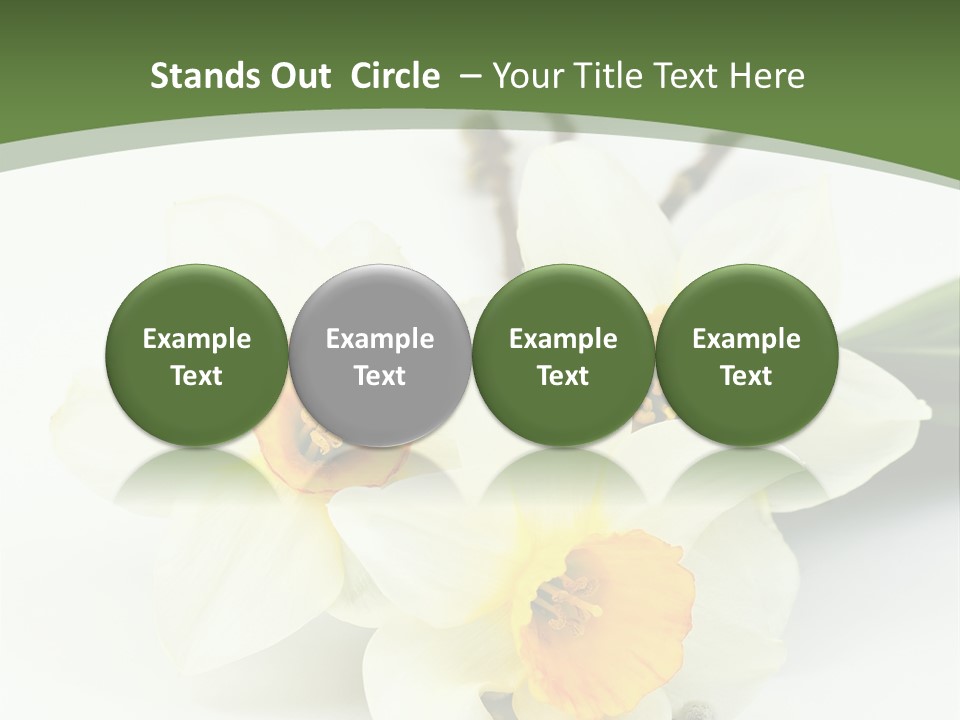 Season Branch Easter PowerPoint Template