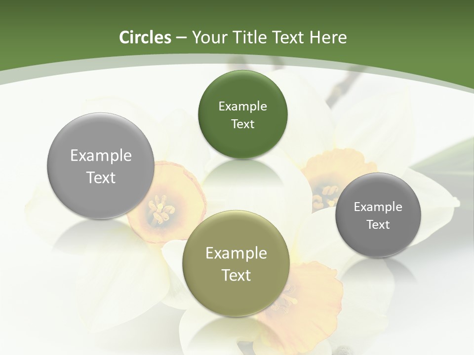 Season Branch Easter PowerPoint Template