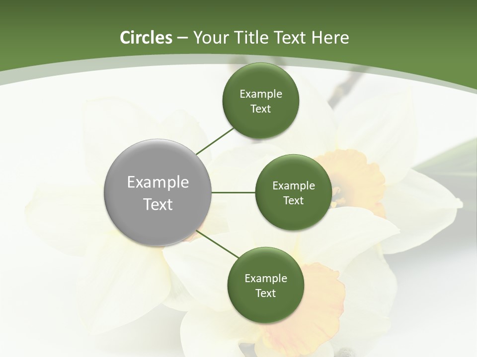 Season Branch Easter PowerPoint Template