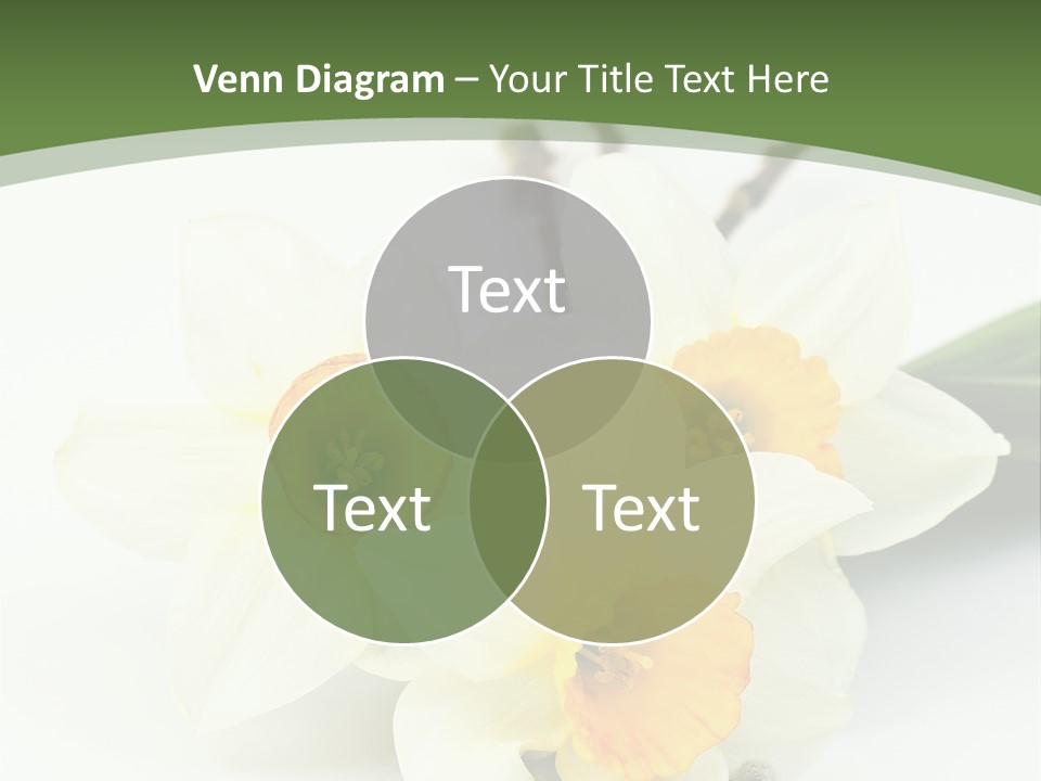 Season Branch Easter PowerPoint Template