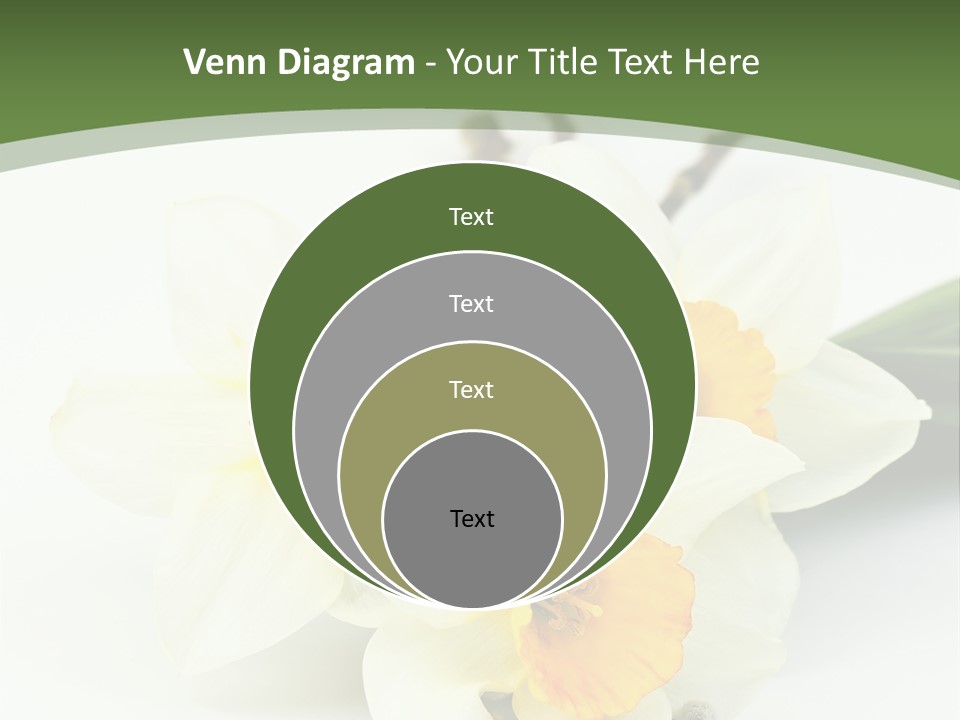 Season Branch Easter PowerPoint Template