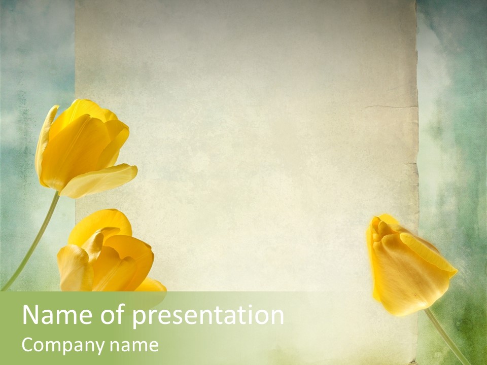 Beautiful Background PowerPoint Template