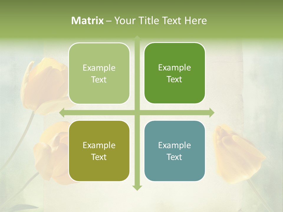 Beautiful Background PowerPoint Template