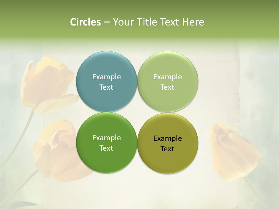 Beautiful Background PowerPoint Template