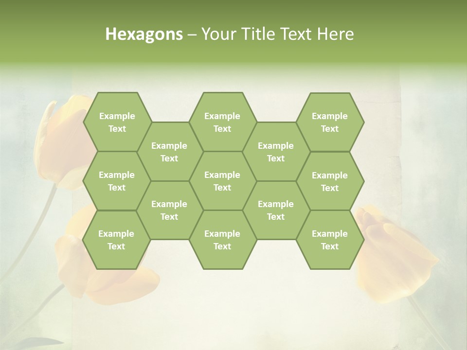 Beautiful Background PowerPoint Template