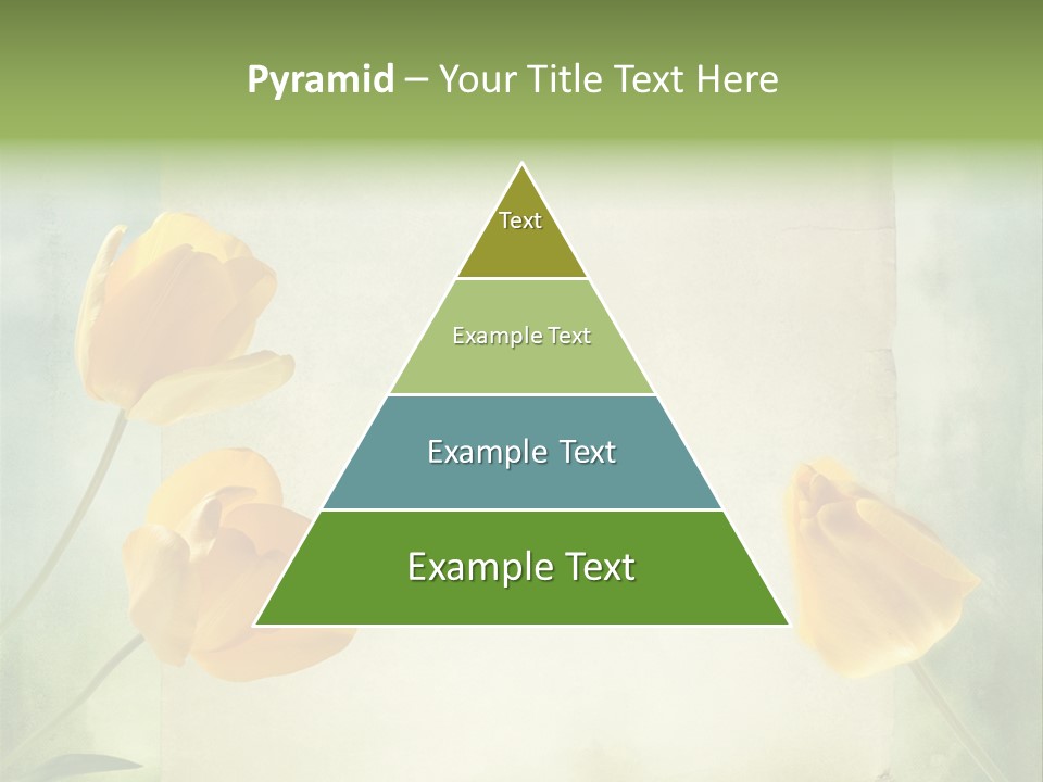 Beautiful Background PowerPoint Template