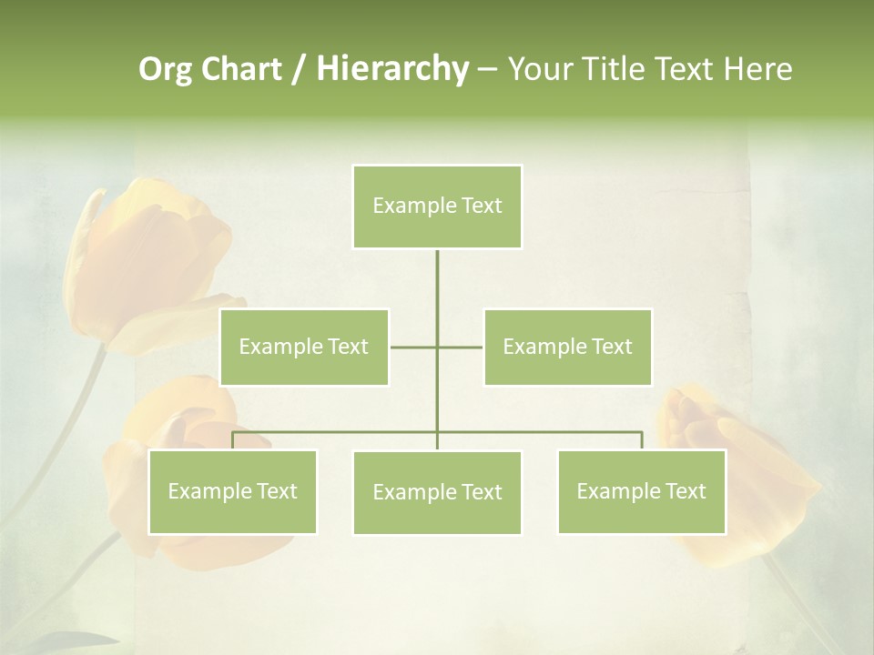 Beautiful Background PowerPoint Template