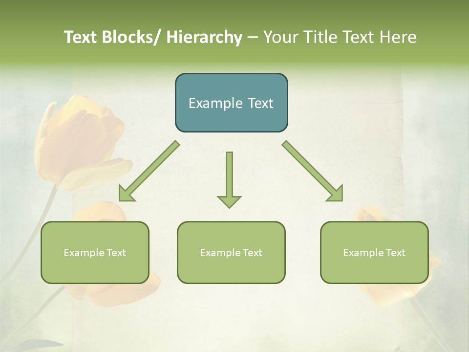 Beautiful Background PowerPoint Template