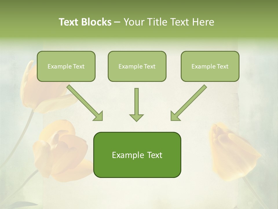Beautiful Background PowerPoint Template