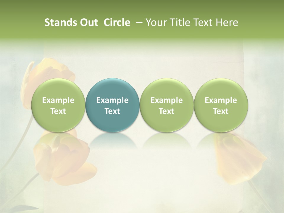 Beautiful Background PowerPoint Template