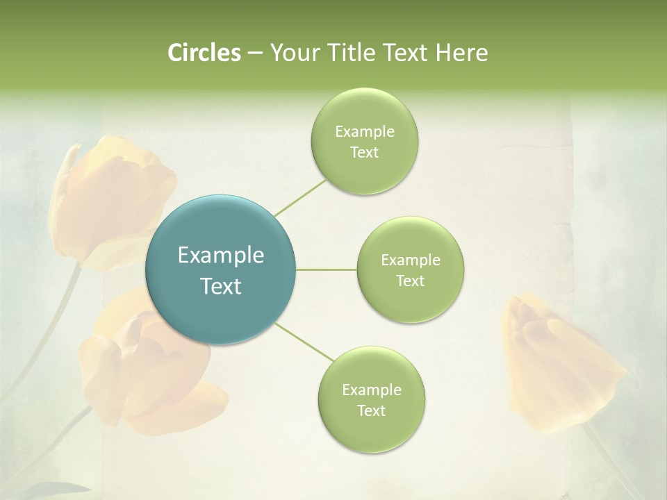 Beautiful Background PowerPoint Template