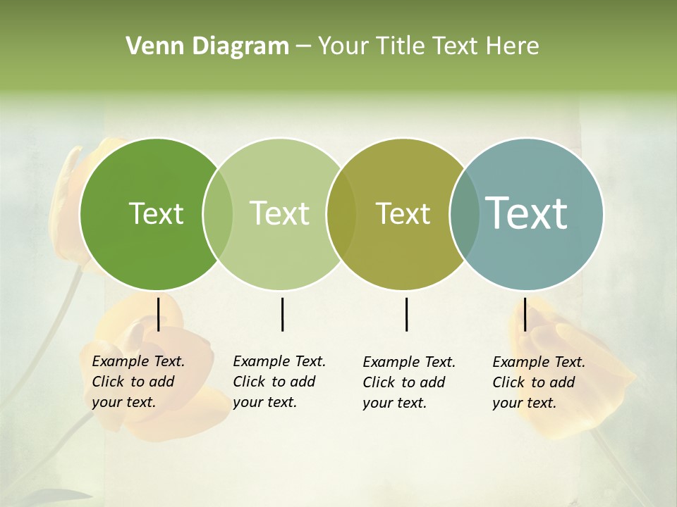 Beautiful Background PowerPoint Template