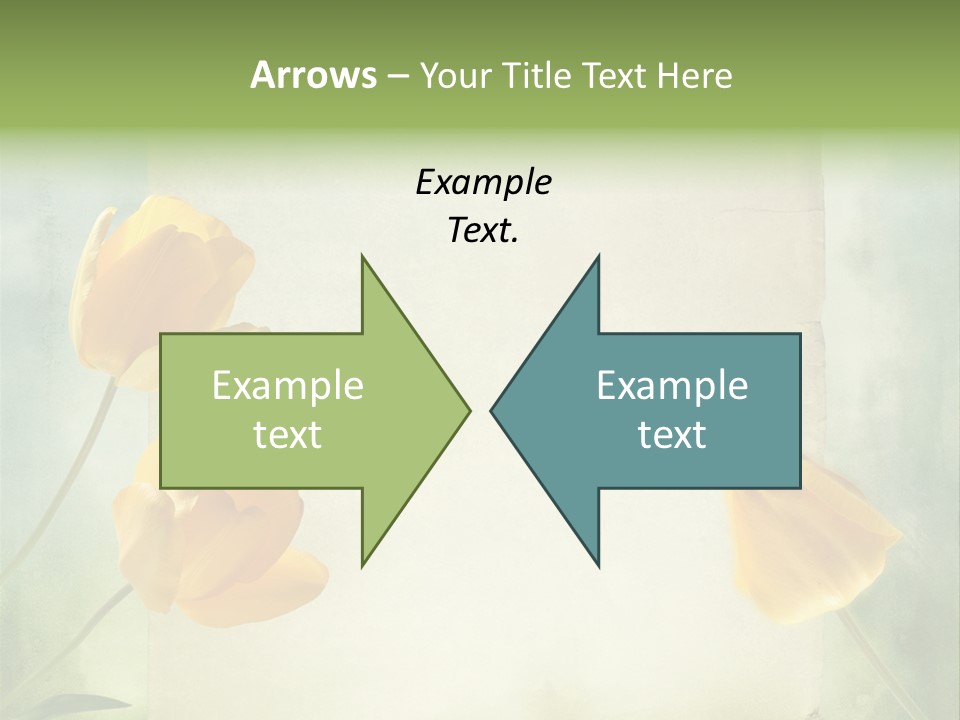 Beautiful Background PowerPoint Template