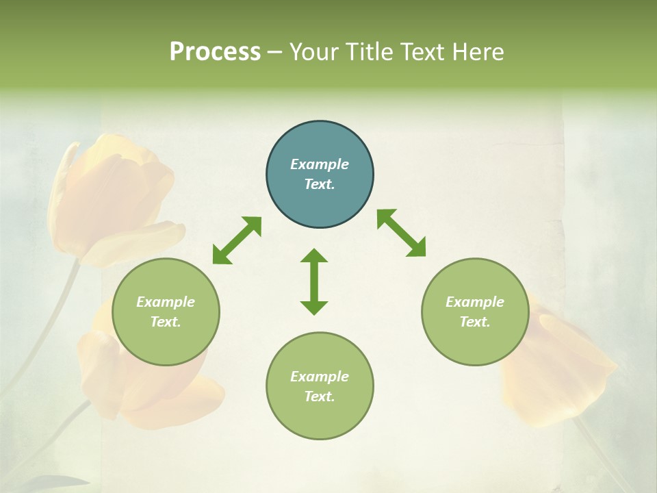 Beautiful Background PowerPoint Template