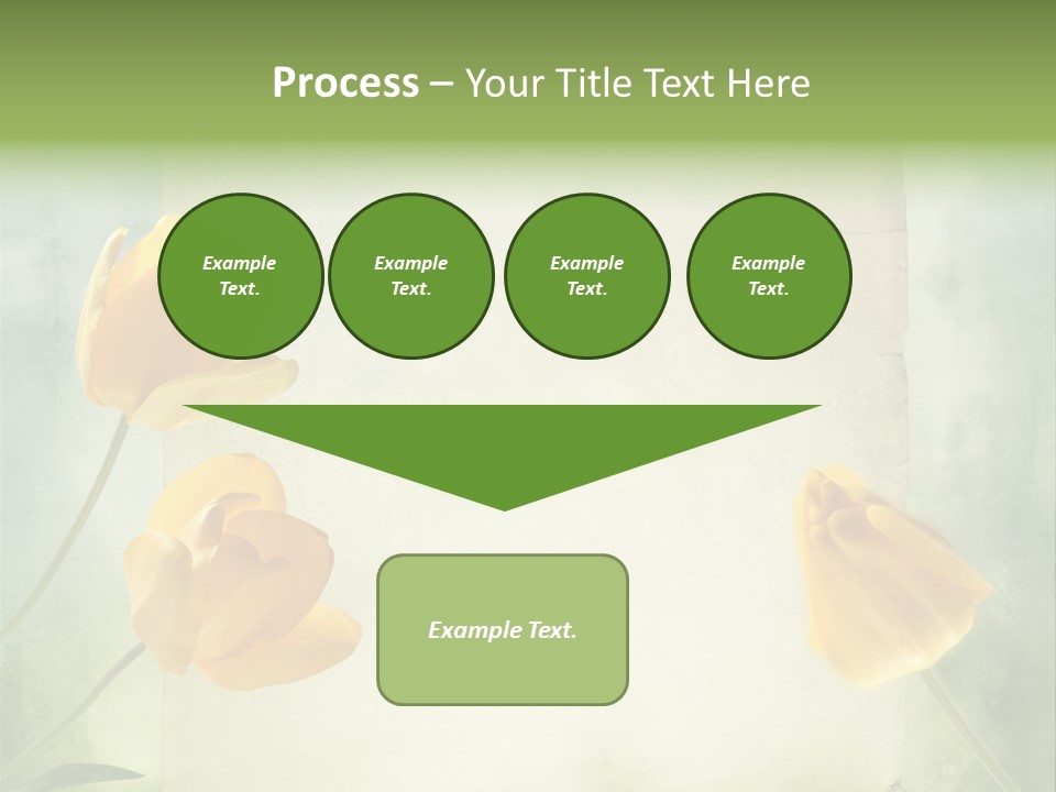 Beautiful Background PowerPoint Template