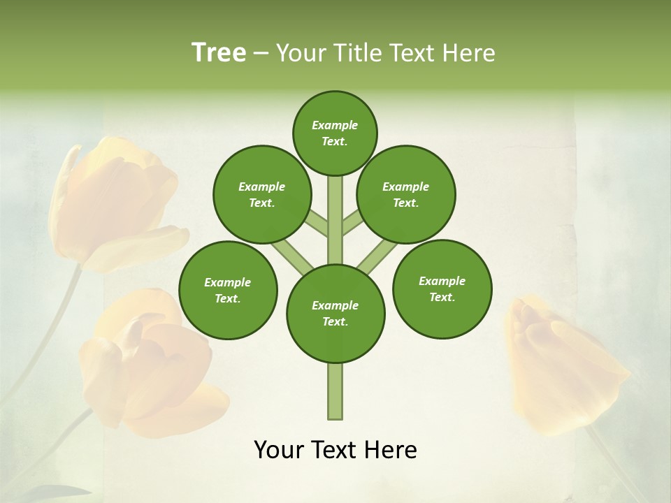 Beautiful Background PowerPoint Template