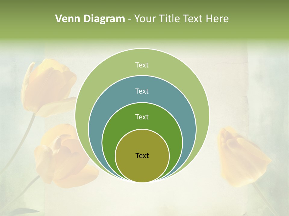 Beautiful Background PowerPoint Template