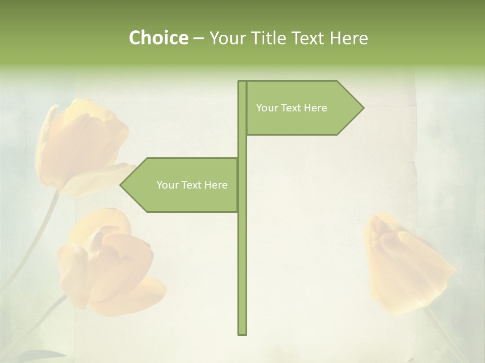Beautiful Background PowerPoint Template