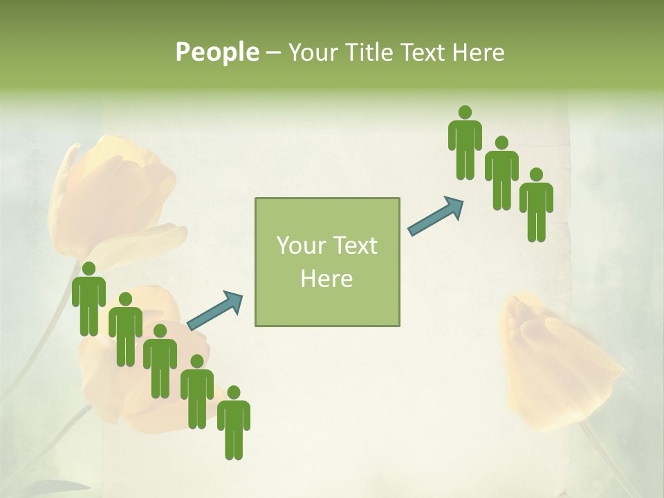 Beautiful Background PowerPoint Template