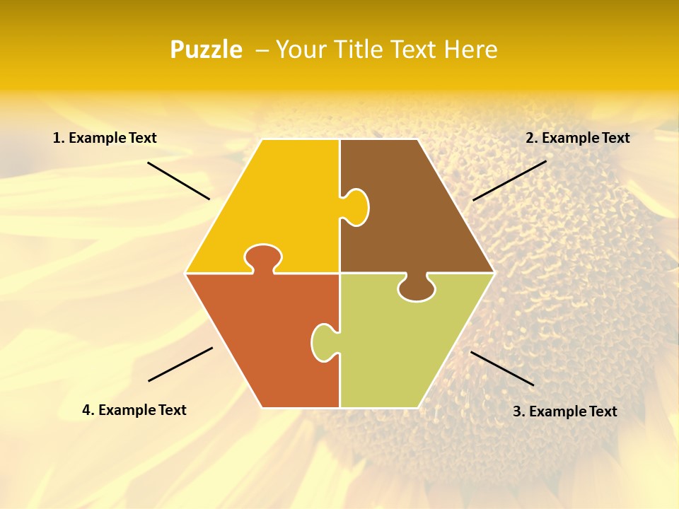 Sunflower Ladybug PowerPoint Template