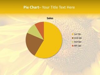 Sunflower Ladybug PowerPoint Template