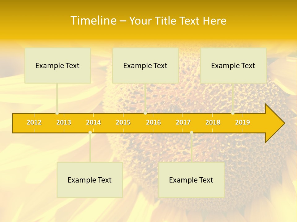 Sunflower Ladybug PowerPoint Template
