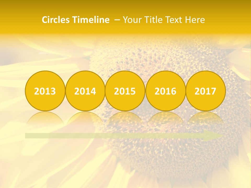 Sunflower Ladybug PowerPoint Template