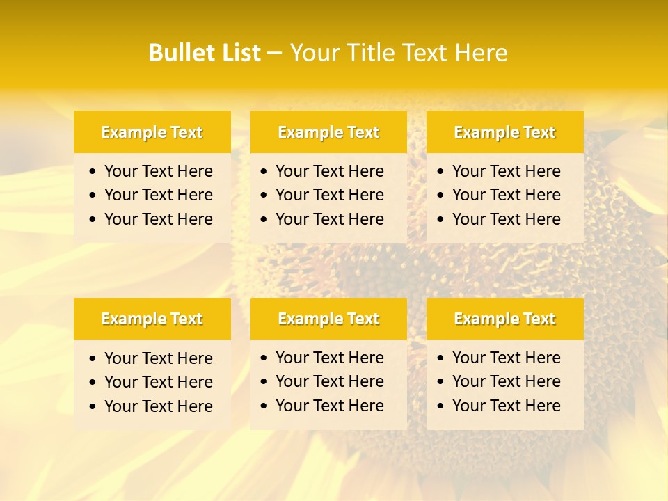 Sunflower Ladybug PowerPoint Template