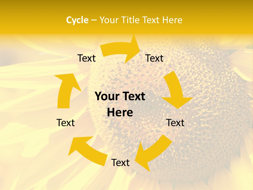 Sunflower Ladybug PowerPoint Template