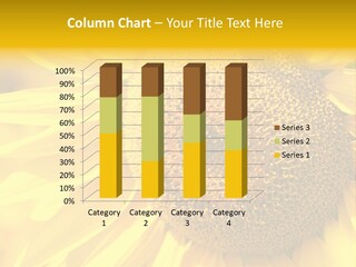 Sunflower Ladybug PowerPoint Template