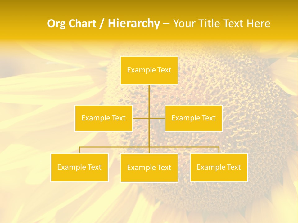 Sunflower Ladybug PowerPoint Template