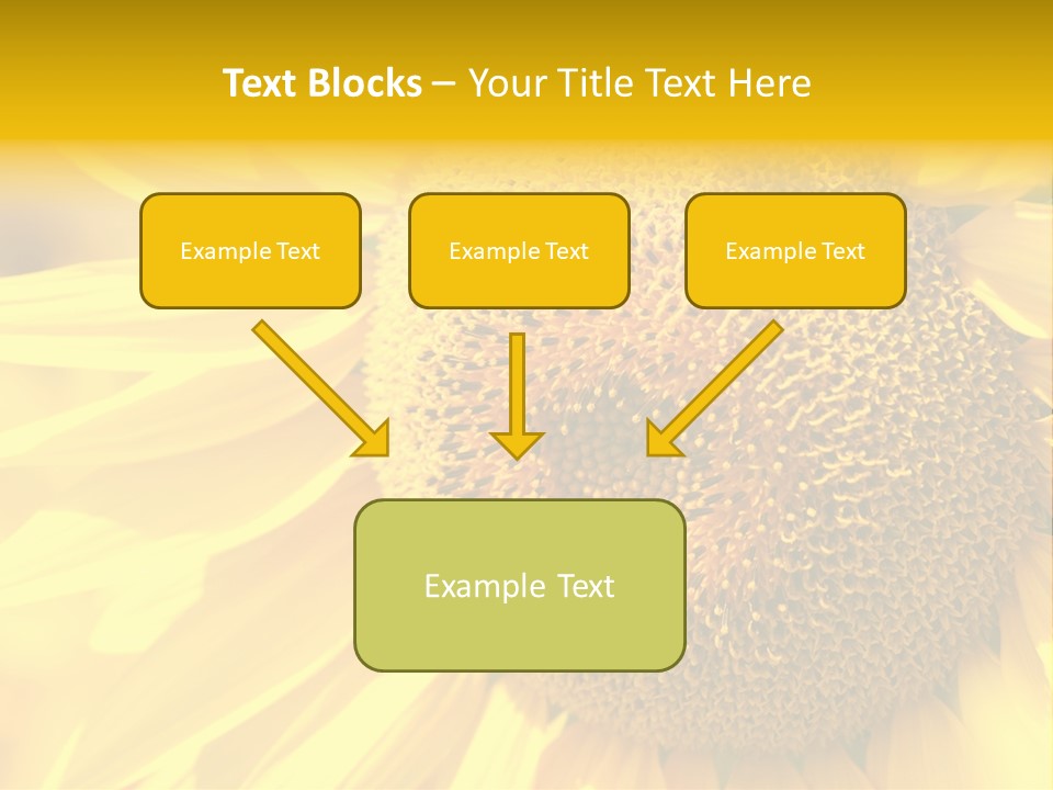 Sunflower Ladybug PowerPoint Template