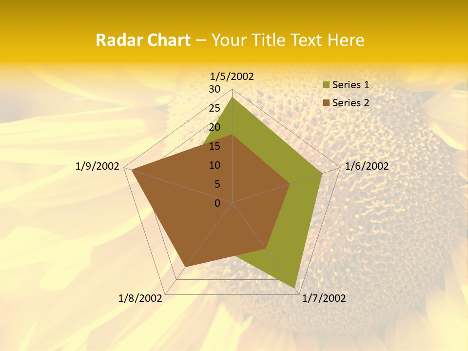 Sunflower Ladybug PowerPoint Template