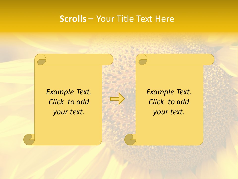 Sunflower Ladybug PowerPoint Template