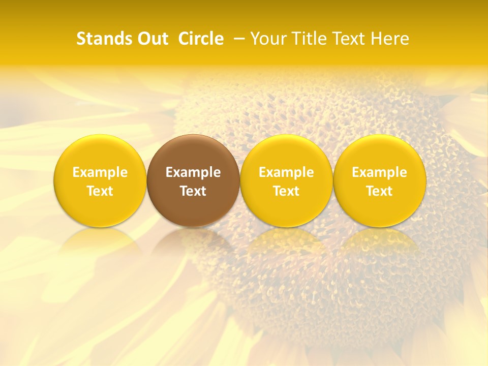 Sunflower Ladybug PowerPoint Template