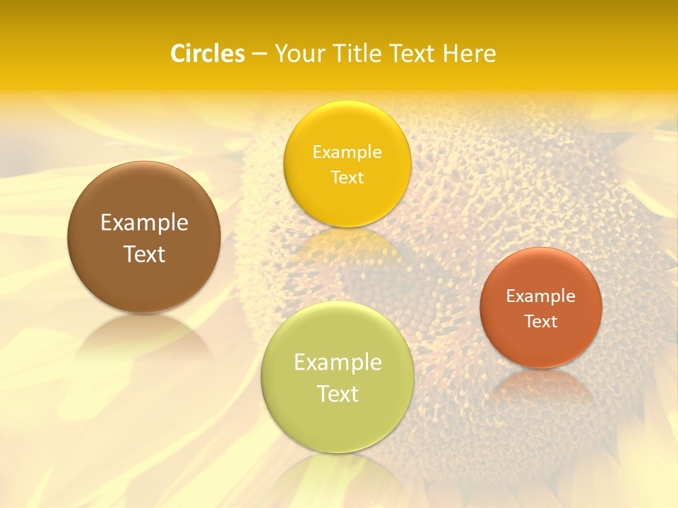 Sunflower Ladybug PowerPoint Template