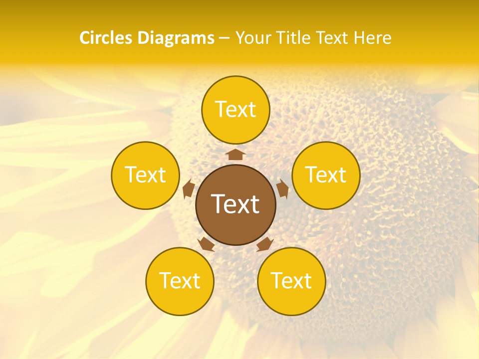 Sunflower Ladybug PowerPoint Template