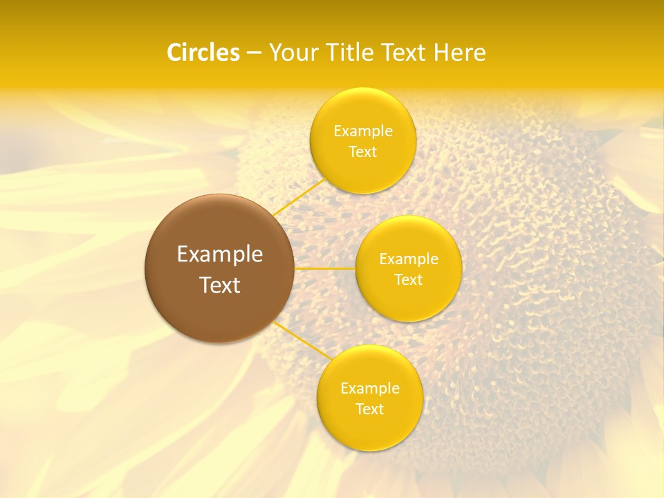 Sunflower Ladybug PowerPoint Template