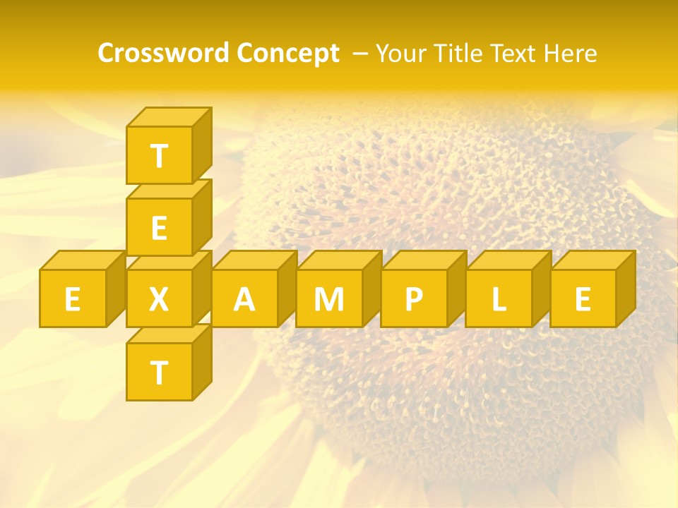 Sunflower Ladybug PowerPoint Template