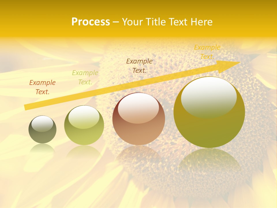Sunflower Ladybug PowerPoint Template