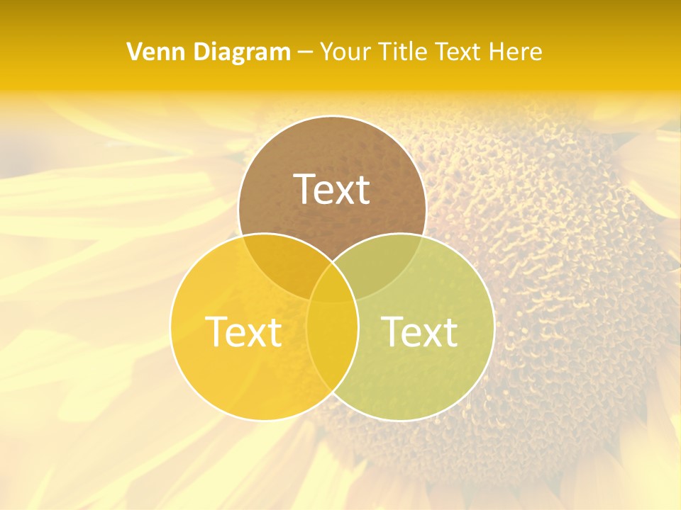 Sunflower Ladybug PowerPoint Template