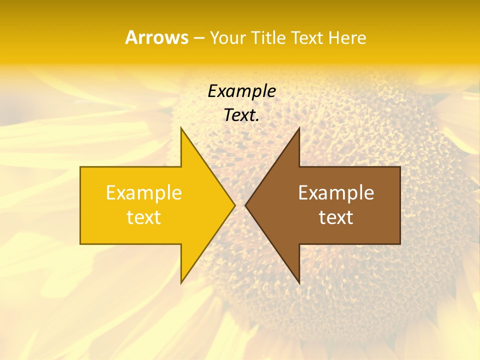 Sunflower Ladybug PowerPoint Template